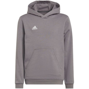Bluza dla dzieci adidas entrada 22 hoody szara h57515