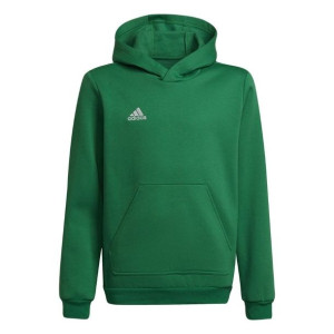 Bluza dla dzieci adidas entrada 22 hoody zielona hi2143