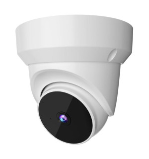 Kamera obrotowa Smart XiaoVV PTZ Dome Q1