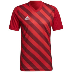 Koszulka męska adidas entrada 22 graphic jersey czerwono-bordowa hb0572