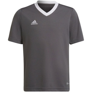 Koszulka dla dzieci adidas entrada 22 jsy szara h57499