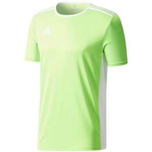 Koszulka dla dzieci adidas entrada 18 jersey junior limonkowa ce9755