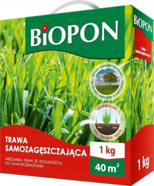 Nasiona trawy gazonowej SAMOZAGĘSZCZAJĄCEJ - 1kg