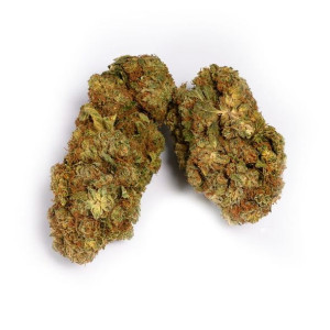 Susz Konopny Cbd Gorilla Glue 3g 10% Cbd Real Cannabis