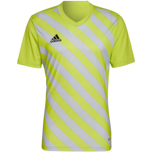 Koszulka męska adidas entrada 22 graphic jersey żółto-szara hf0118
