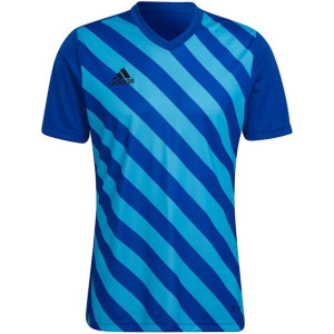 Koszulka męska adidas entrada 22 graphic jersey niebiesko-błękitna hf0116