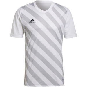 Koszulka męska adidas entrada 22 graphic jersey biało-szara hf0129