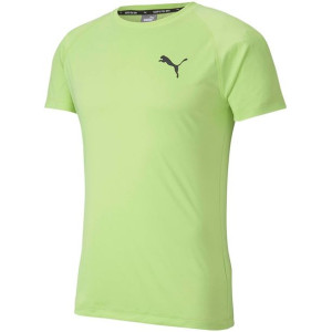 Koszulka męska puma rtg tee sharp zielona 581504 34