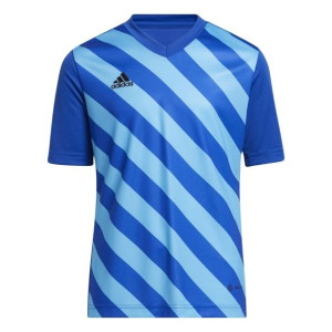 Koszulka dla dzieci adidas entrada 22 graphic jersey niebieska hf0130