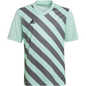 Koszulka dla dzieci adidas entrada 22 graphic jersey miętowo-szara hf0127