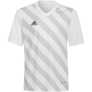Koszulka dla dzieci adidas entrada 22 graphic jersey biało-szara hf0120
