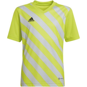Koszulka dla dzieci adidas entrada 22 graphic jersey żółto-szara hf0133