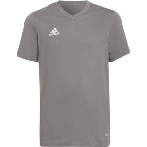 Koszulka dla dzieci adidas entrada 22 tee szara hc0444