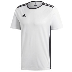 Koszulka męska adidas entrada 18 jersey biała cd8438