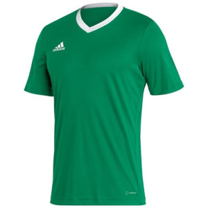 Koszulka męska adidas entrada 22 jersey zielona hi2123