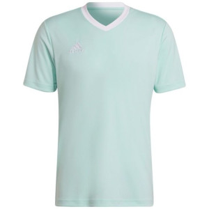 Koszulka męska adidas entrada 22 jersey miętowa hc5073