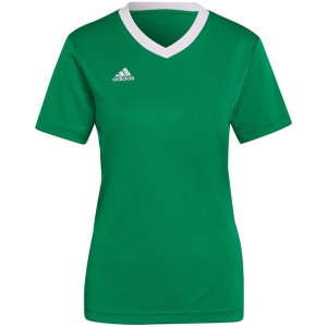 Koszulka damska adidas entrada 22 jersey zielona hi2124