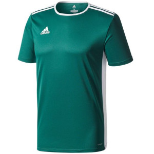 Koszulka męska adidas entrada 18 jersey zielona cd8358