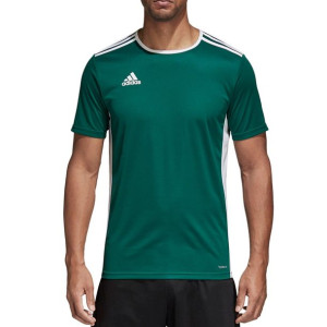 Koszulka męska adidas entrada 18 jersey zielona cd8358