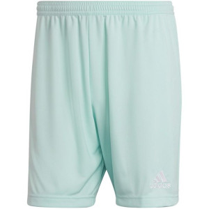 Spodenki męskie adidas entrada 22 miętowe hc5051