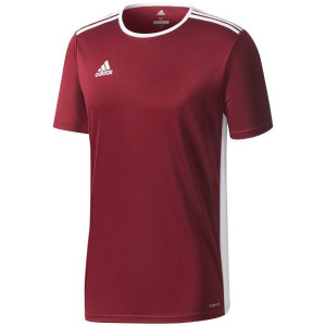 Koszulka dla dzieci adidas entrada 18 jersey junior bordowa ce9564
