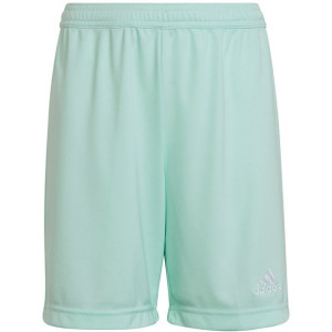 Spodenki dla dzieci adidas entrada 22 miętowe hc5058