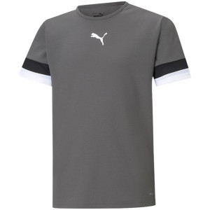 Koszulka dla dzieci puma teamrise jersey jr szara 704938 13