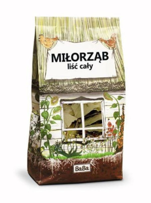 Miłorząb Japoński - Liść