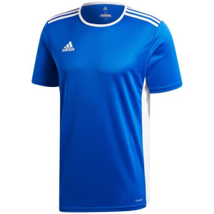 Koszulka męska adidas entrada 18 jersey niebieska cf1037