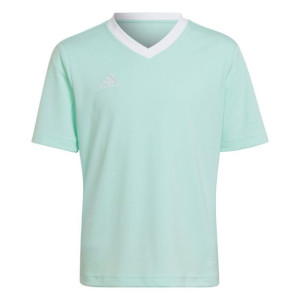Koszulka dla dzieci adidas entrada 22 jersey miętowa hc5078