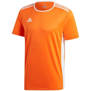 Koszulka dla dzieci adidas entrada 18 jersey junior pomarańczowa cf1043