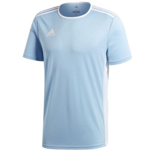 Koszulka dla dzieci adidas entrada 18 jersey junior błękitna cf1045