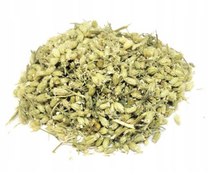 Kwiat Krwawnika Krwawnik 500g 100% Naturalny