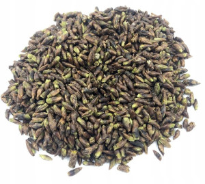 Brzoza Pączki Brzozy Gemmoterapia 50 G Naturalny
