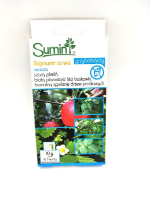 Signum 33 Wg 10 G