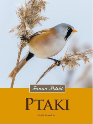 Ptaki. Fauna Polski Dorota Zawadzka