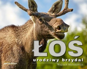 Łoś - urodziwy brzydal Wojciech Misiukiewicz