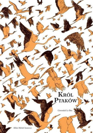 Król ptaków Gwendal Le Bec