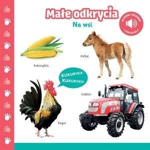 Małe odkrycia. Na wsi praca zbiorowa