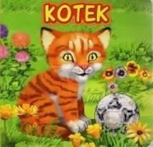 Kotek JAFI Katarzyna Campbell