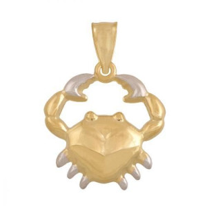 Złota Zawieszka Znaki Zodiaku Rak Biżuteria 585