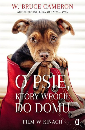 O psie, który wrócił do domu W. Bruce Cameron, Edyta Świerczyńska