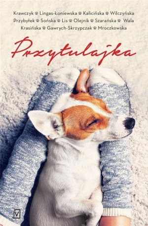 Przytulajka pocket praca zbiorowa