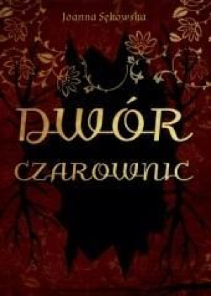 Dwór czarownic Joanna Sękowska