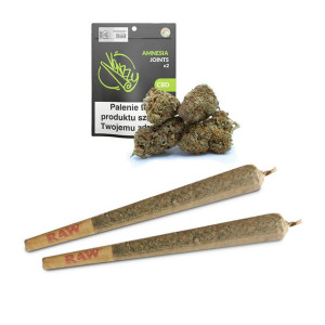 Jointy CBD Vonzzy Amnesia 2 szt.