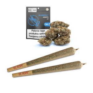 Jointy CBD Vonzzy Blueberry 2 szt.