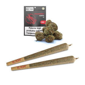 Jointy CBD Vonzzy Strawberry 2 szt.