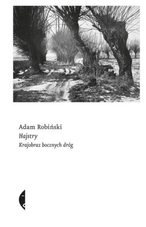 Hajstry. Krajobraz bocznych dróg Adam Robiński