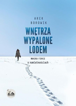 Wnętrza wypalone lodem Arek Borowik