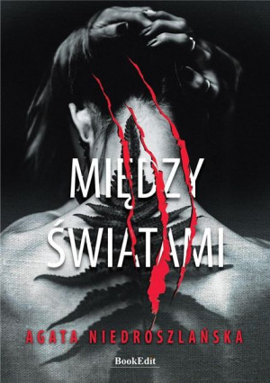 Między Światami Agata Niedroszlańska